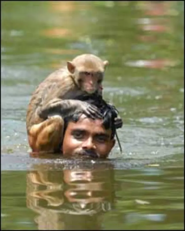 بنگلہ دیش سیلاب