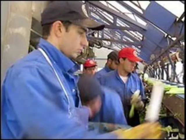 Lao động Đông Âu