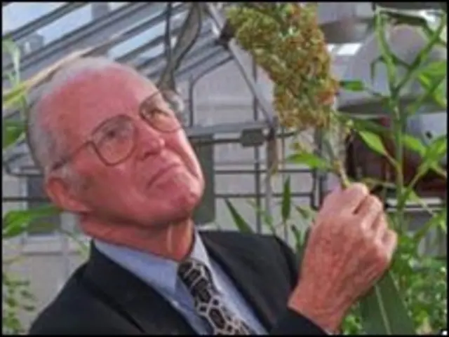 डॉक्टर नॉर्मन बोरलॉग