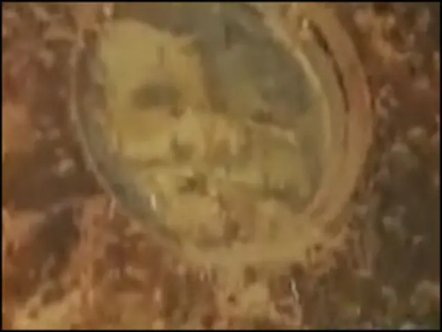 Кадры с подводной съемки