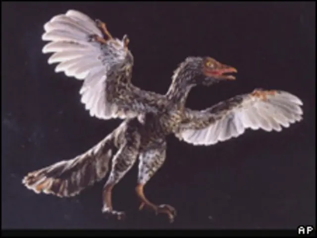 Archaeoraptor Iaioningensis