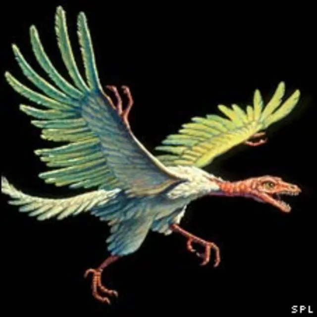 Archaeopteryx