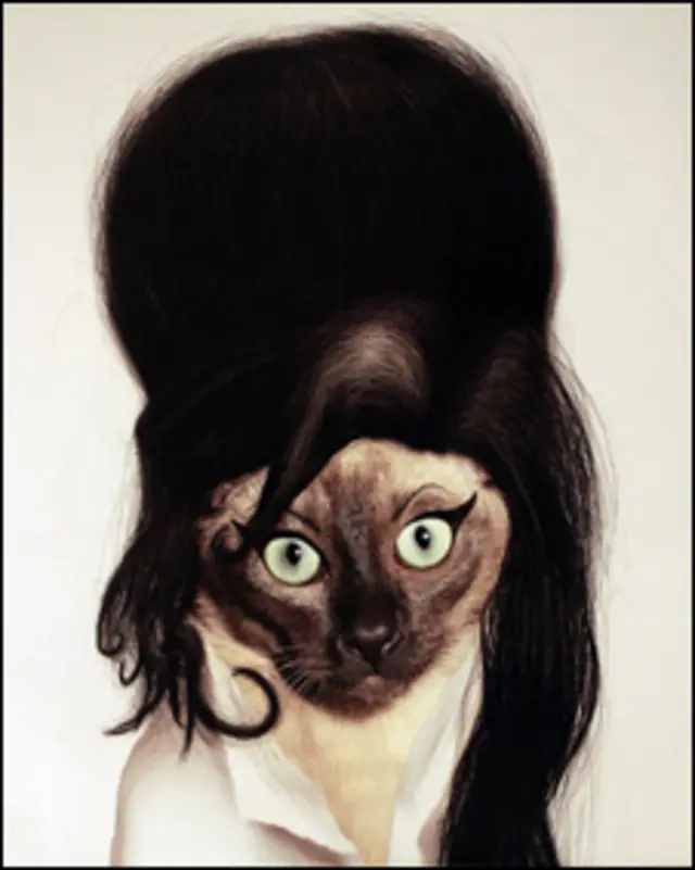 Foto: Takkoda/Divulgação