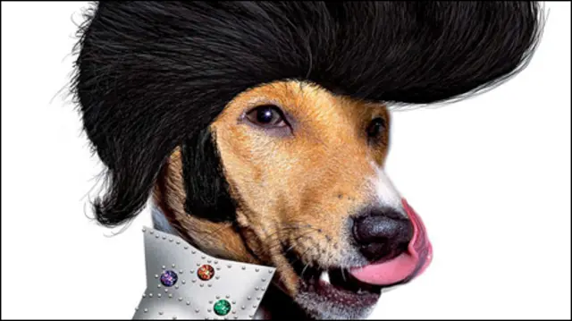 Foto: Takkoda/Divulgação