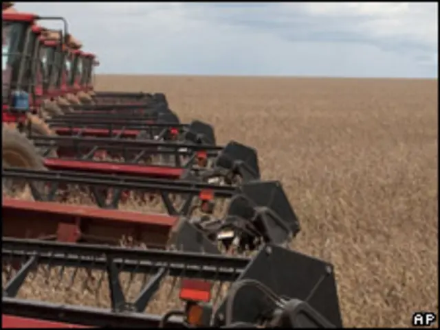 Campo de soja en Argentina