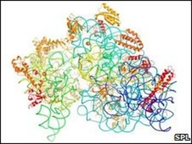 تحقیقات این دانشمندان منجر به تولید آنتی بیوتیک های جدید شده است