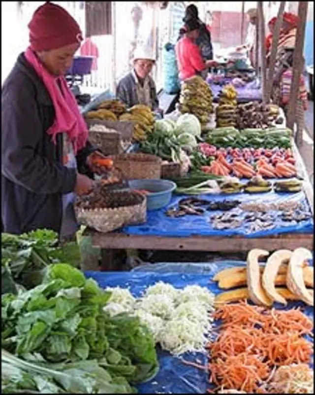 Madagascar (Foto: Fabio Meloni y Anne Aubert)