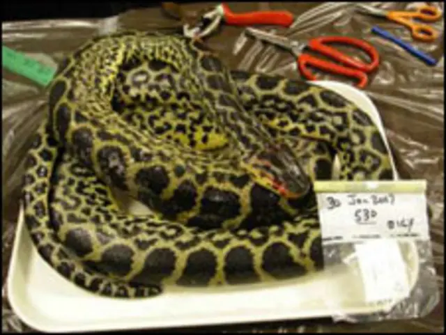 Foto: Skip Snow, National Park Service