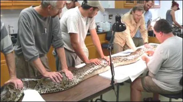 Foto: Lori Oberhofer, National Park Service