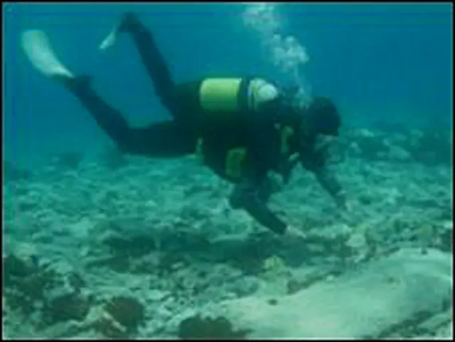 پاولوپیٹری