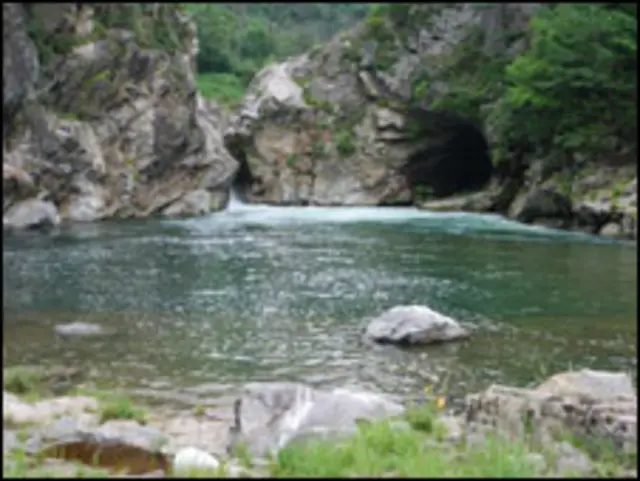 Zona Desmilitarizada entre las Coreas (ZDC) - Foto: Green Korea United