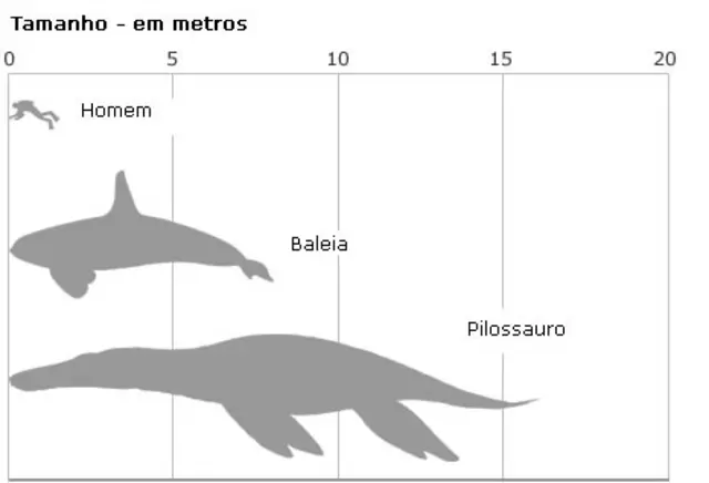Gráfico comparando tamanhos dos animais