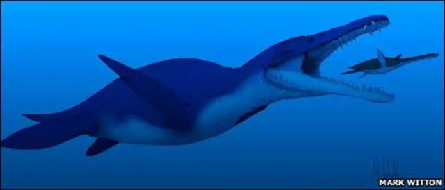 Desenho do pilossauro