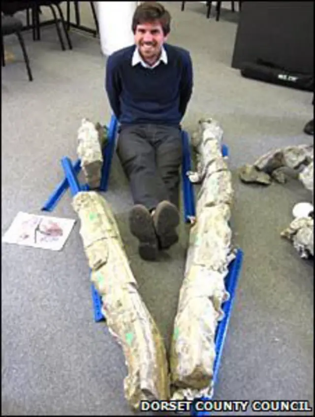 Mandíbulas poderosas