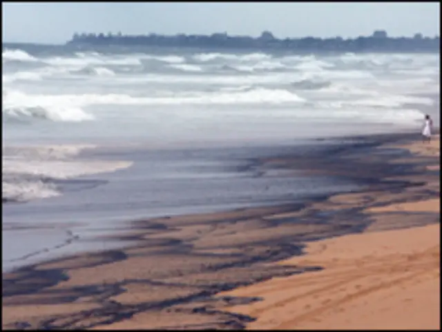 ساحلی علاقہ