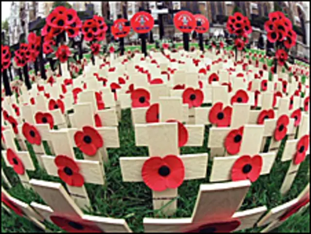 Мемориал из маков в Уэстминстерском Аббатстве