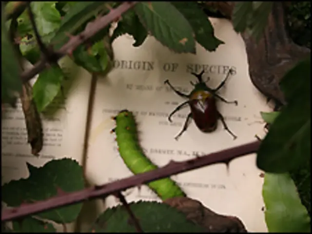 Книга Чарльза Дарвіна