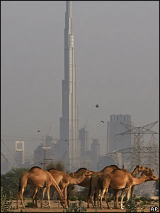 متحدہ عرب امارات نے اس ترقی کی بڑی قیمت بھی ادا کی ہے۔