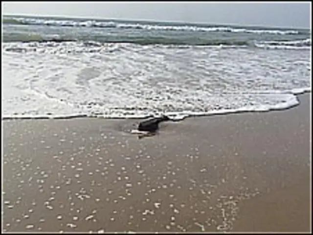 एक घर का हाल