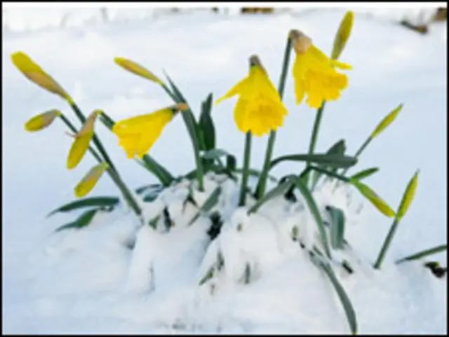 जलवायु परिवर्तन के चिन्ह