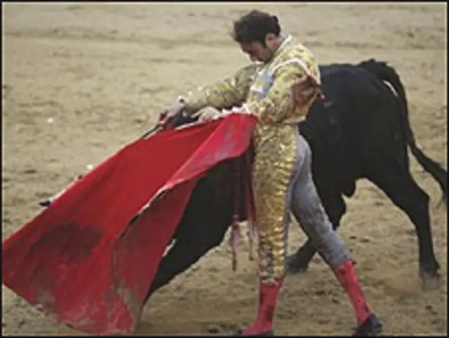 Matador