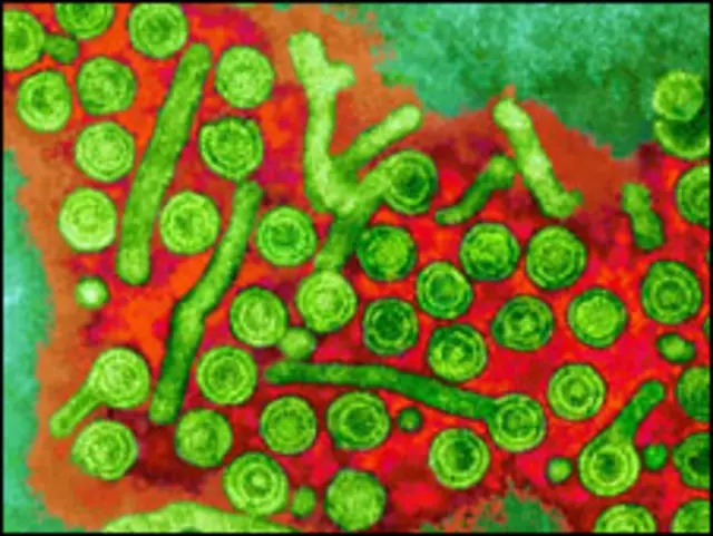 हेपेटाइटिस