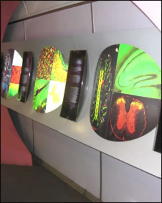 साइंस एक्सप्रेस की शुरुआत केंद्रीय विज्ञान और तकनीक विभाग ने 2007 में की थी