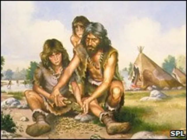 دست شامپانزه و انسان