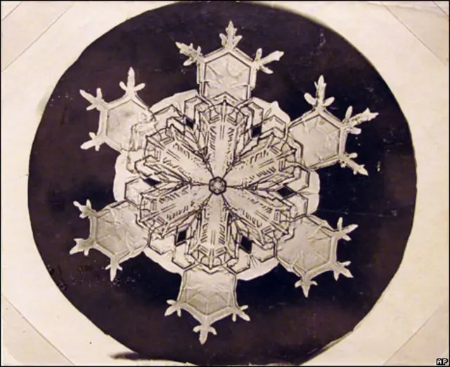 Floco de neve registrado por Wilson A. Bentley