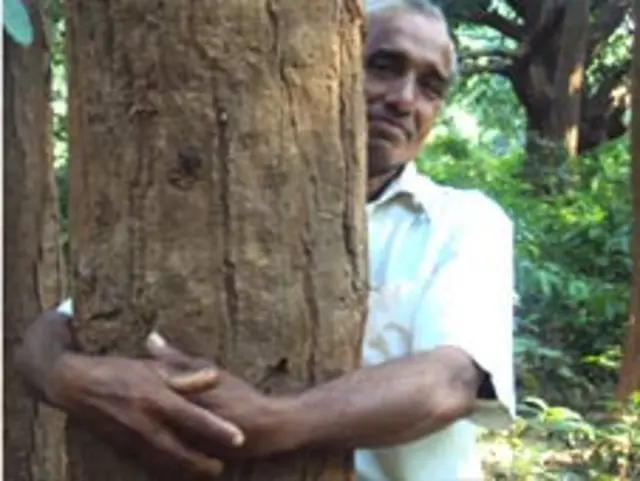 एक पेड़ॉ से चिपके विश्वनात बरद