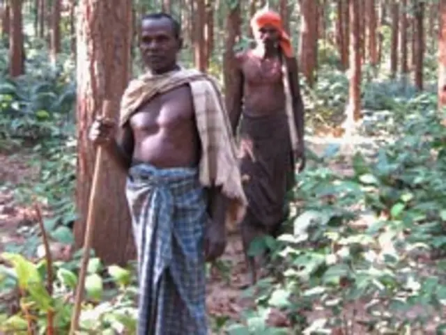 जंगल की रखवाली करते लोग