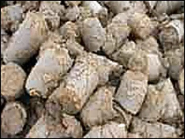 торф як паливо