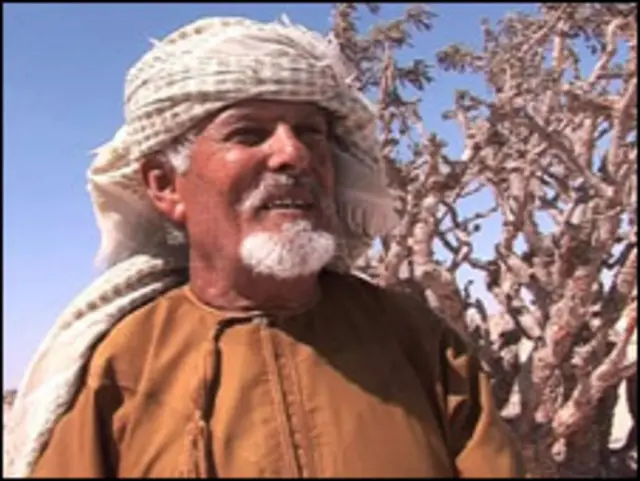 محمد سالم جداد