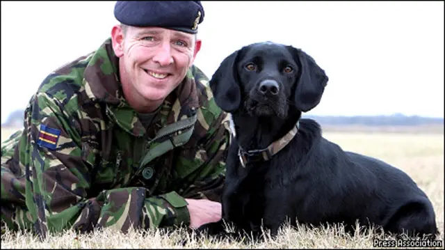 Anjing Labrador membantu aparat keamanan mengendus bom dan narkoba