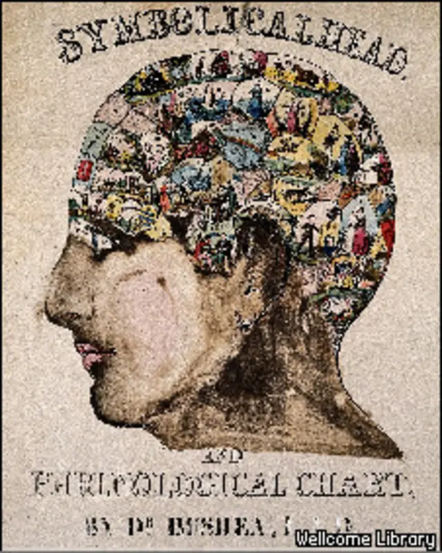 френологическая карта мозга