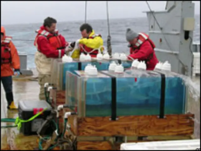 на палубе научной платформы