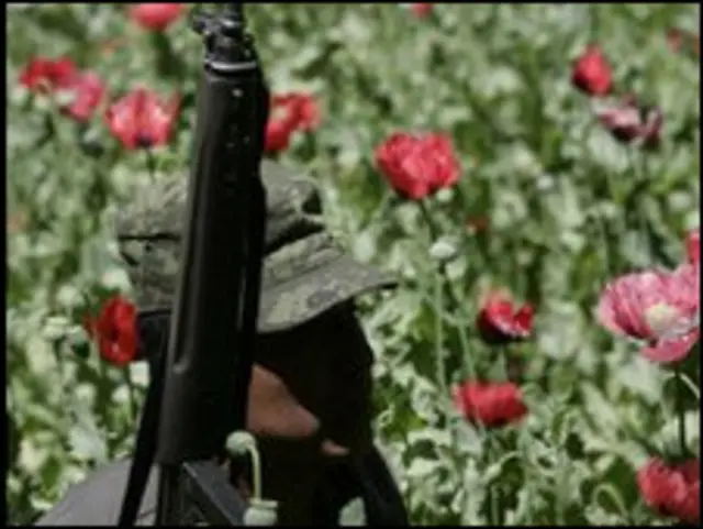 Tentara Meksiko jaga ladang opium