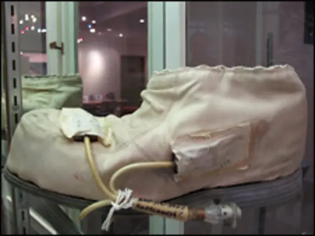 Один из лотов космического аукциона