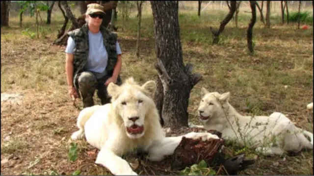 Jenny Schmidt com os leões Zuba e Cobra (foto: cortesia de Jenny Schmidt)