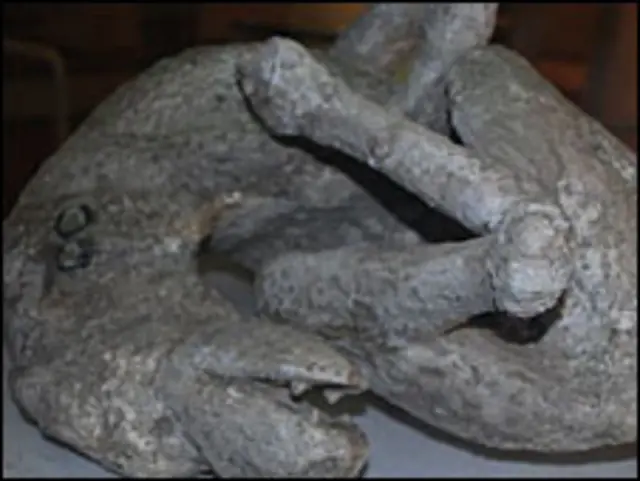 Sosok anjing yang diyakini dirantai di luar rumah saat letusan gunung terjadi