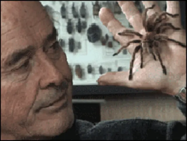 जॉर्जेस ब्रोस्सार्ड 