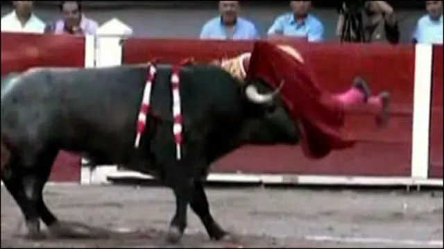 Boğa güreşi ve matador