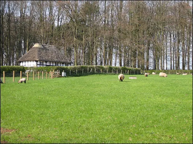 محوطه بیرونی موزه تاریخ ملی سن فگانس
