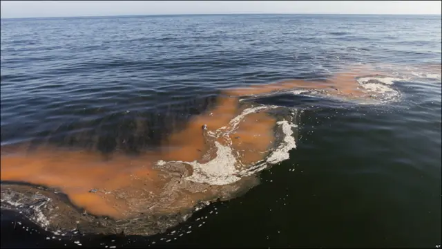 Mancha de crudo en el Golfo de México