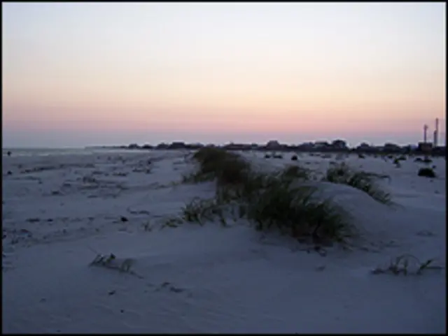 Las dunas blancas de Dauphin Island