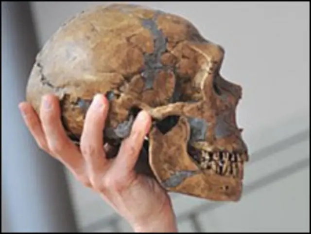 جمجمه نئاندرتال در دست پروفسور پابو