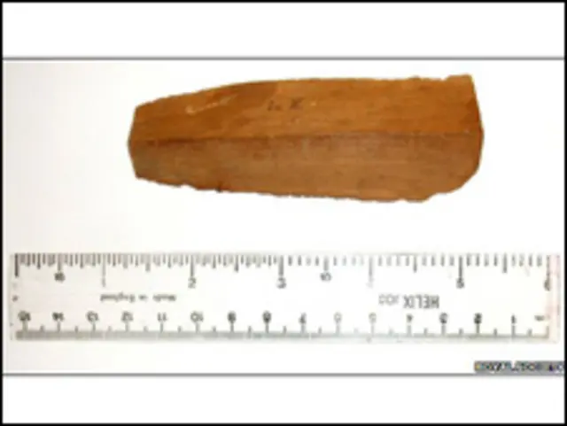 Tras la misión de la NASA, el trozo del árbol de Newton será devuelto a la Real Sociedad británica.