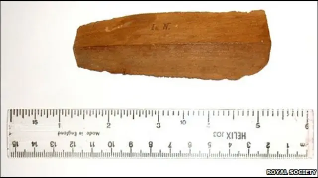 न्यूटन के प्रख्यात सेब के पेड़ का टुकड़ा