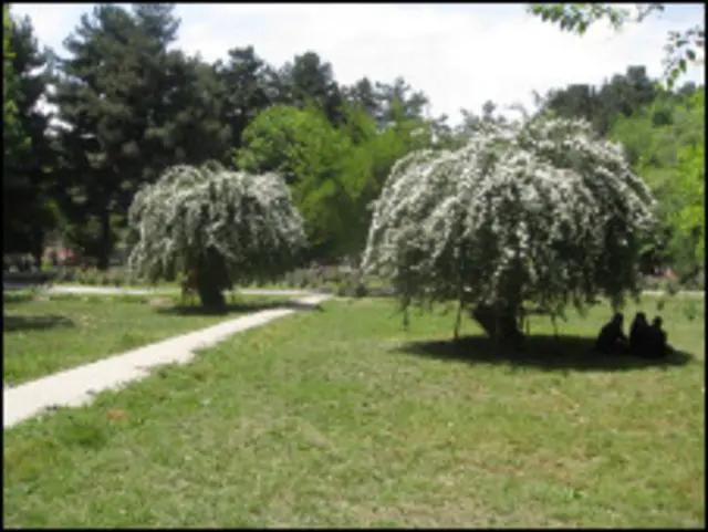 د کابل ښار يو پارک