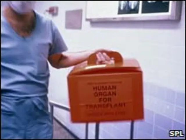 Riñón para trasplante